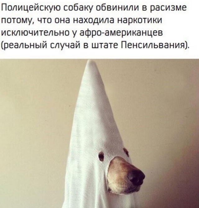 Картинки для деградации 16 (разной степени свежести)