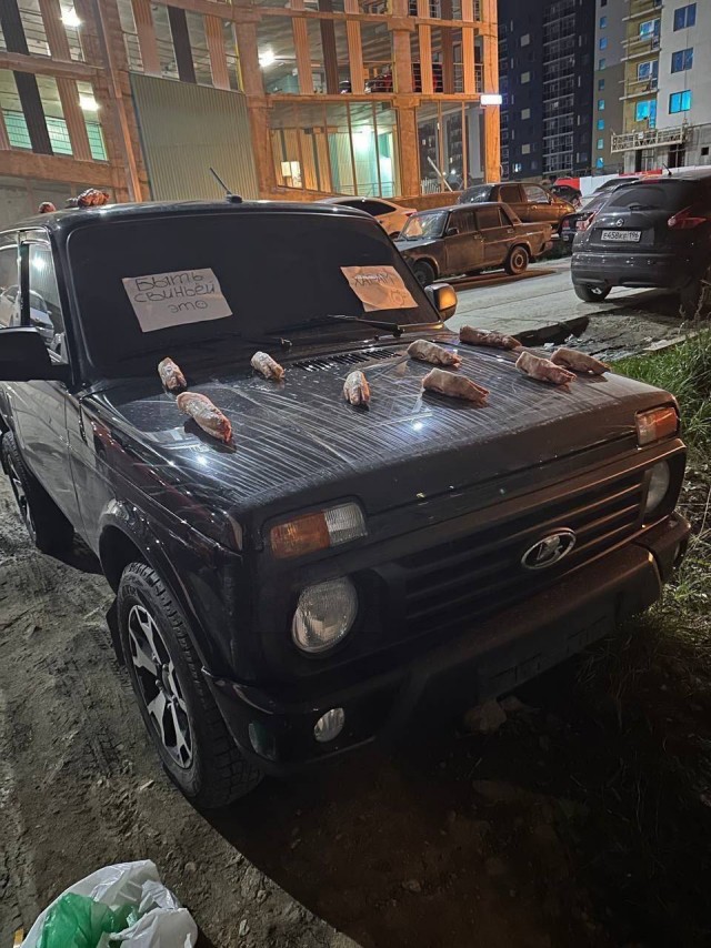 «Быть свиньёй — это харам!»