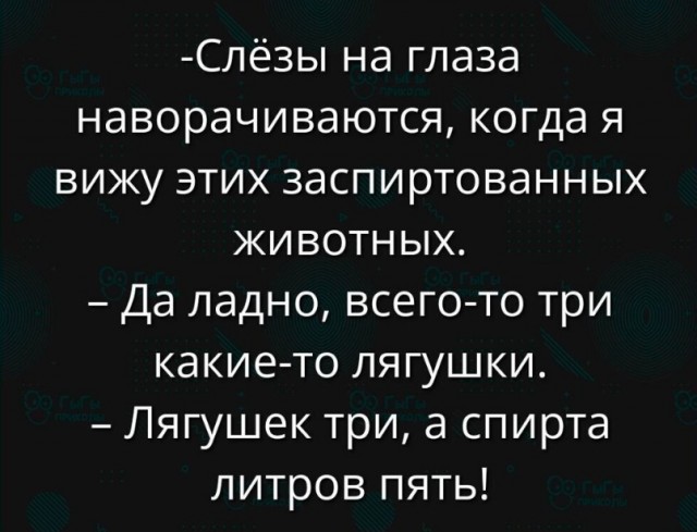 Картинки для деградации 55 (разной степени свежести)