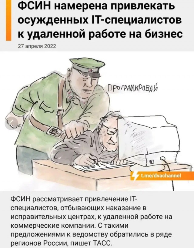 Цивилев призвал брать на работу в IТ участников военной операции