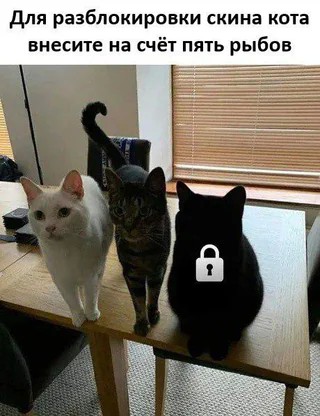 Мортал котман