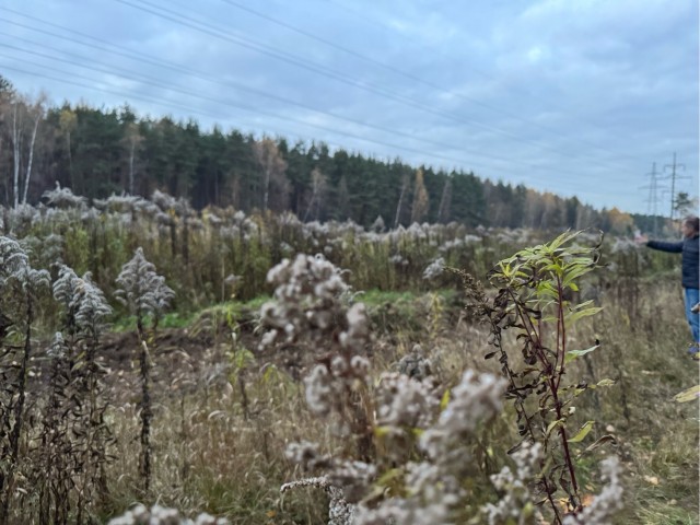 Осень