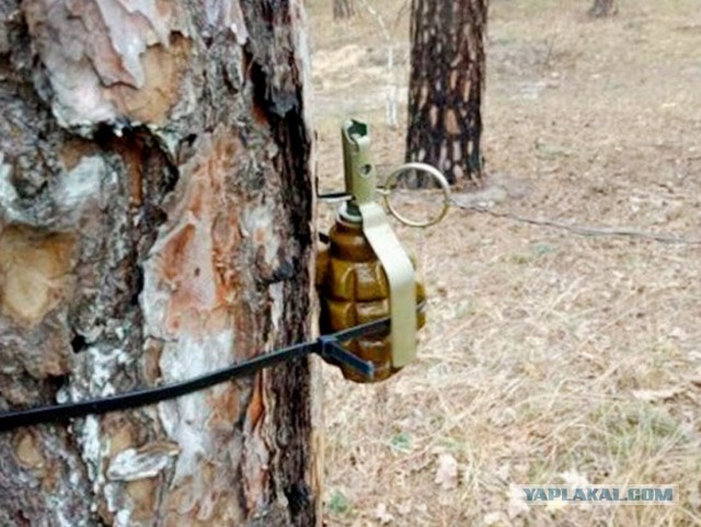 Сон любимой женщины