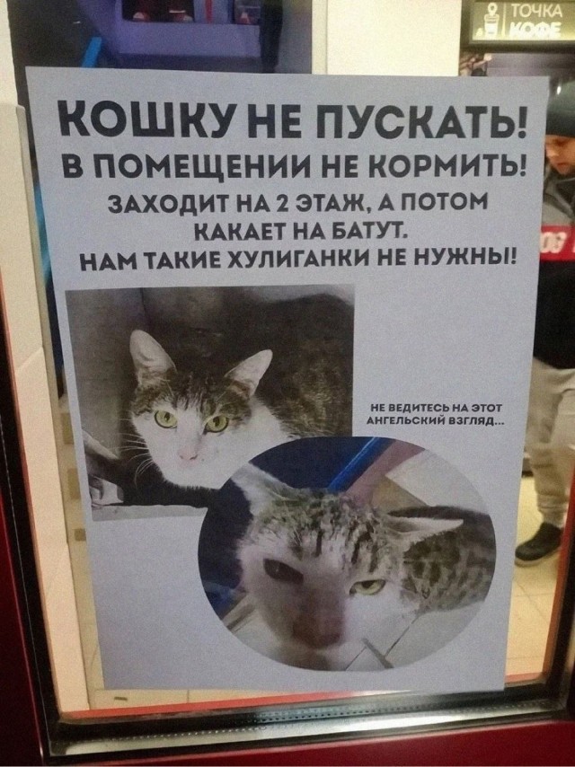 Прикольные и просто красивые картинки 02.12.2025