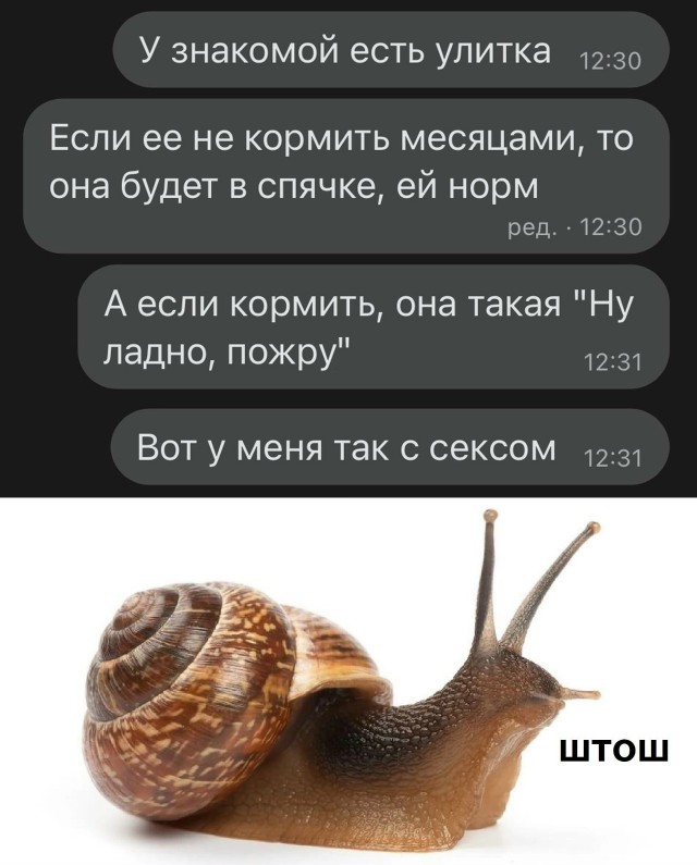 Так себе картинки 27.12.25