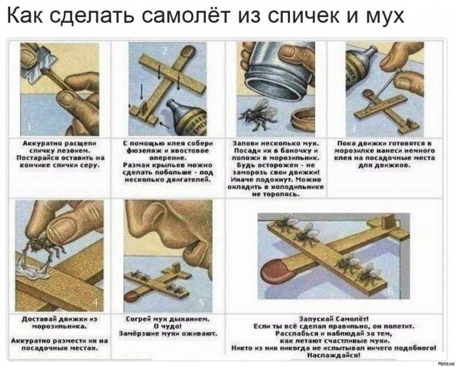 Цифровое бессмертие становится реальностью