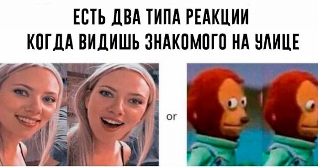 Веселые картинки в понедельник (который вторник) (10.03)