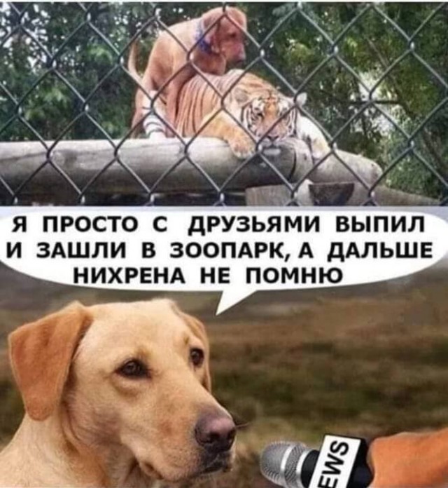 Веселое настроение а картинках (18.03.2026)