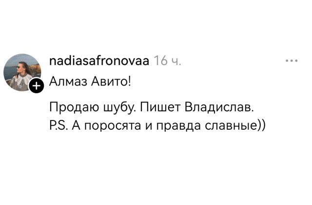 Как обменять шубу на поросят