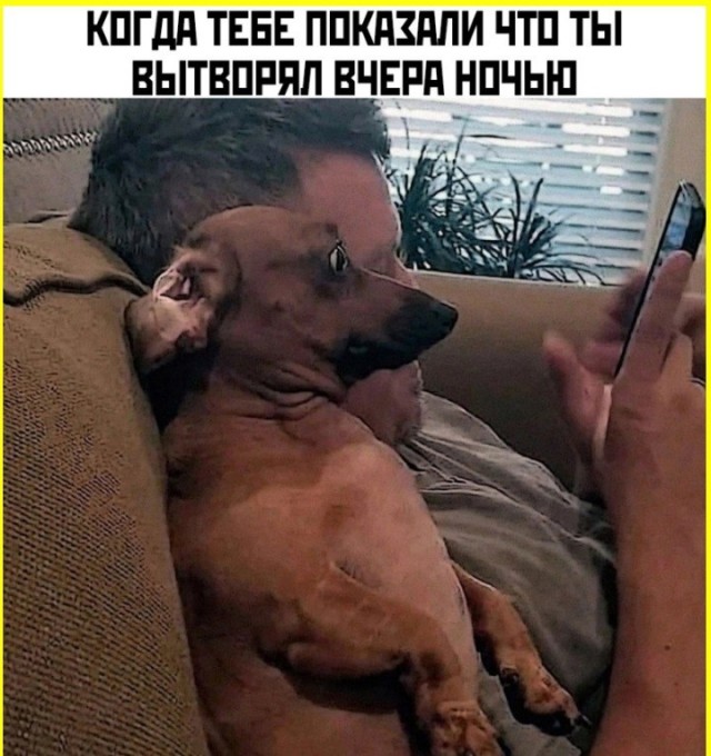 Пятничные тРРРидцать тРРРи от 29 мая