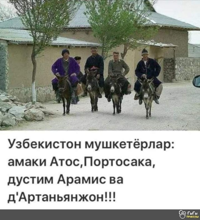 Прикольные и просто красивые картинки 14.08.2026