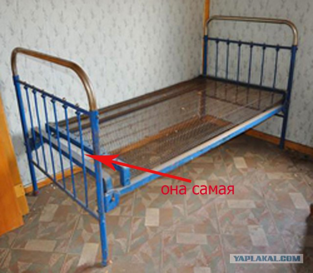 Как связаны эти два предмета?