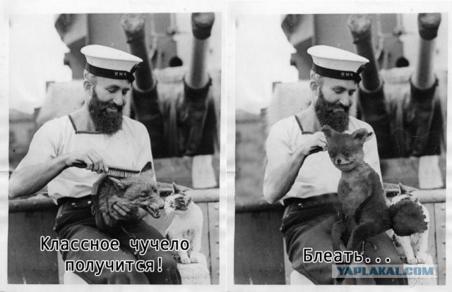 Странные фото.