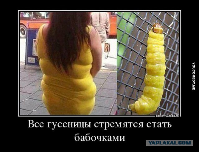 Поднимаем настроение