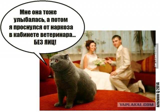 Смешные картинки из соц. сетей.