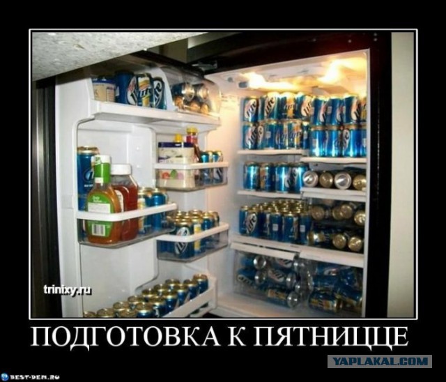 Боевая машина диванных войск