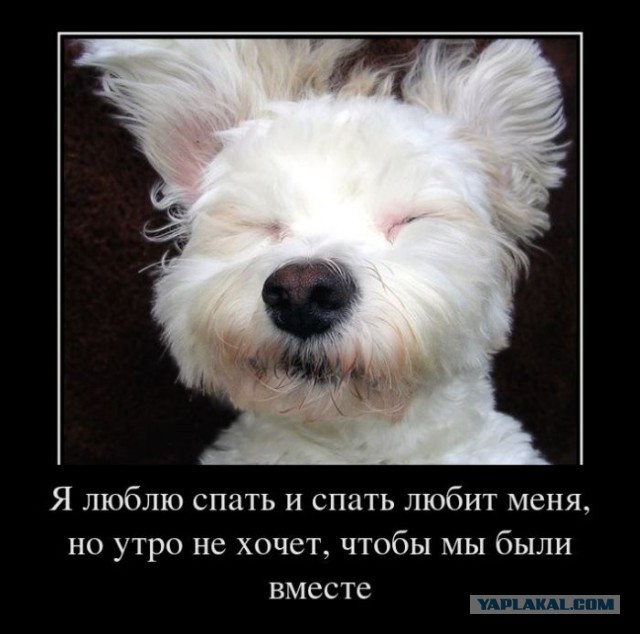 Демотиваторов пост