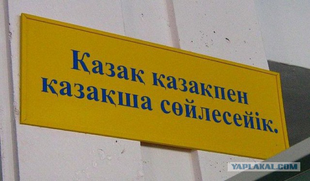 Бешбармак из бараньей головы, На день города, На день города
