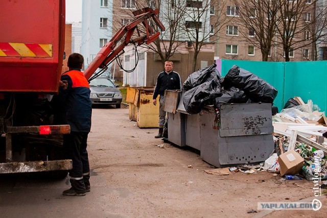 Один день с водителем мусоровоза