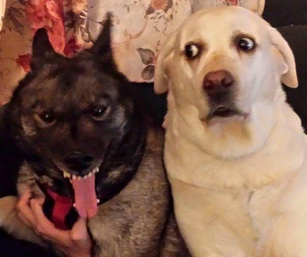 Что происходит?