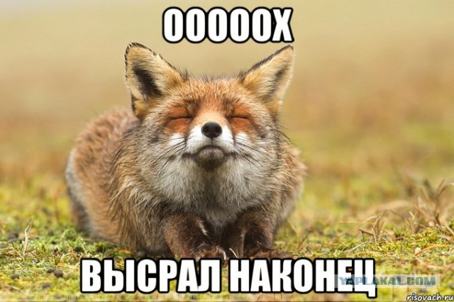 Прямая трансляция из ООН