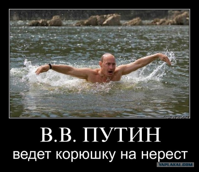 Путин с клювом в халате возглавил журавлиный клин