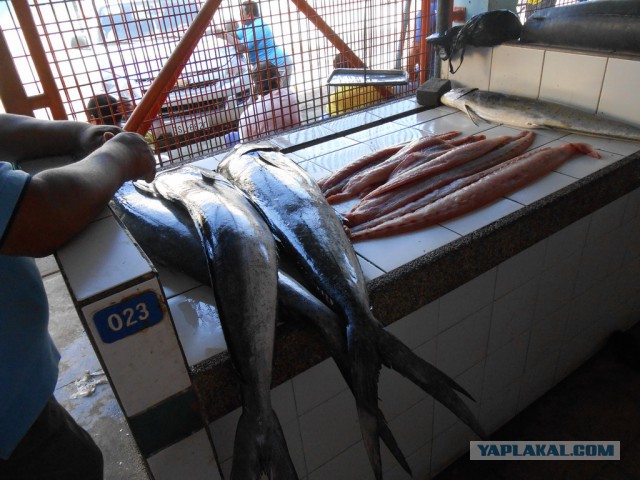 Рыбный рынок в Эквадоре