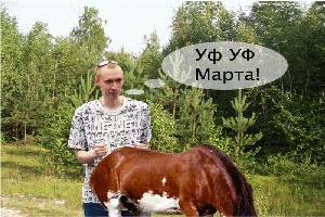 Жаба про гопника