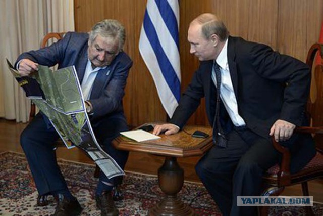 Мистер Президент