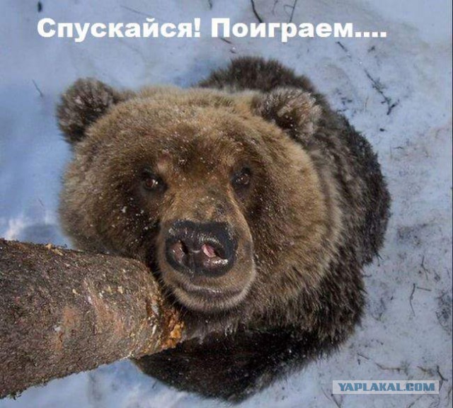 Воскресная подборка картинок