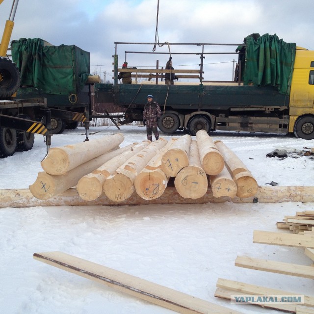 Баня из елки с диаметром 40-42 см. За 1 день.