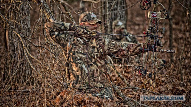 Тайна китайского камуфляжа