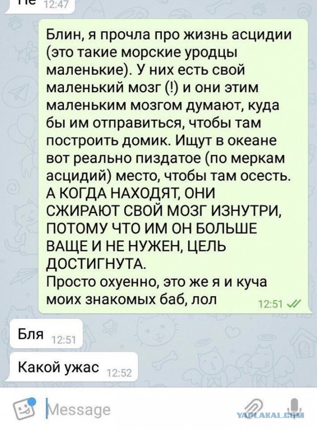 Подборка интересных и веселых картинок