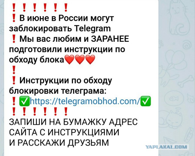 Глава Роскомнадзора пригрозил Дурову блокировкой Telegram в РФ