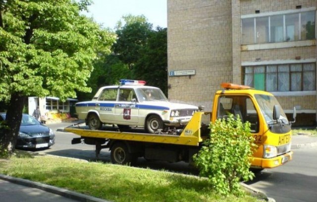 49 забавных картинок