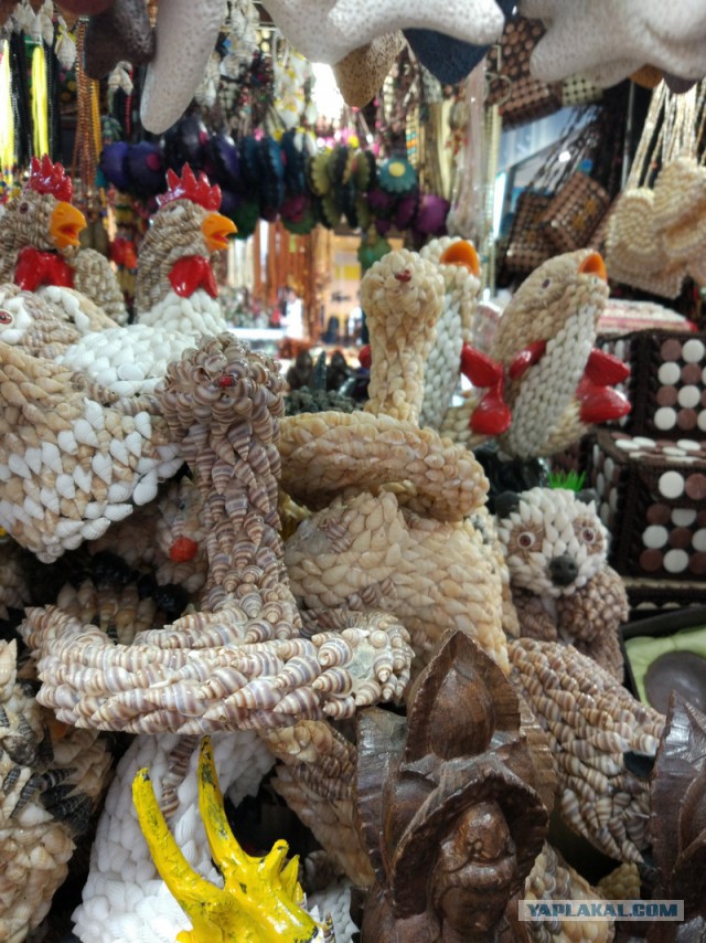 ХАЙНАНЬ. Записки путешественника. Часть первая.