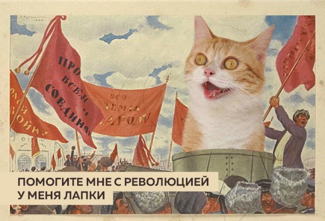 Подборка интересных и весёлых картинок