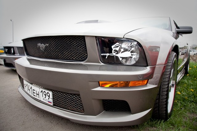 ДР mustang club