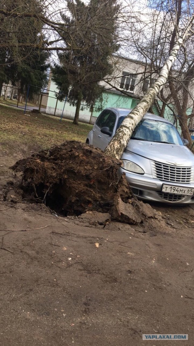 В Москве из-за шторма пострадали 12 человек