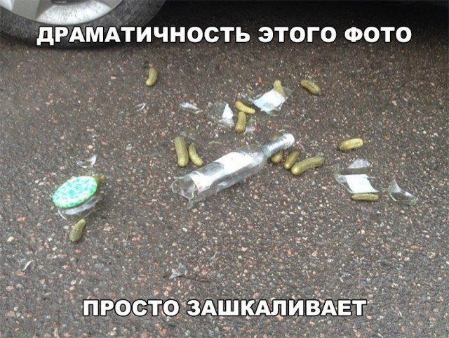 Прикольные картинки обо всём