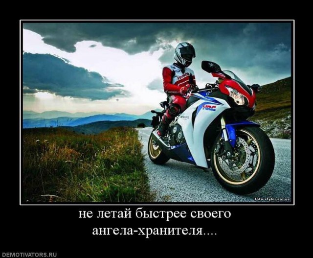 Ссыкун прыщавый классический двухколесный