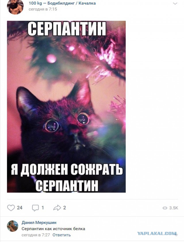 Смешные комментарии из социальных сетей 14.09.2018