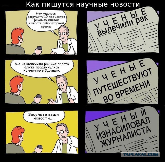 «Поведение Скабеевой оскорбительно»