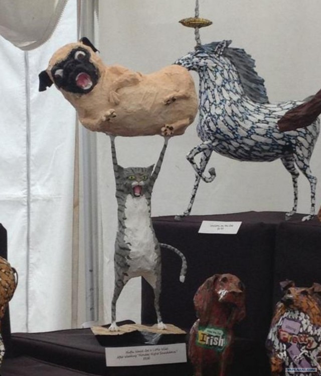 Котовторник 12.02.13