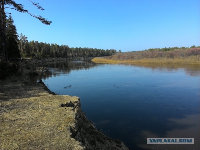 Соскучился по рыбалке