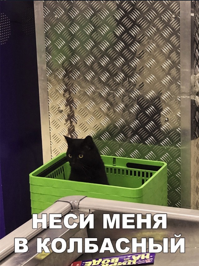 Нестандартный юмор