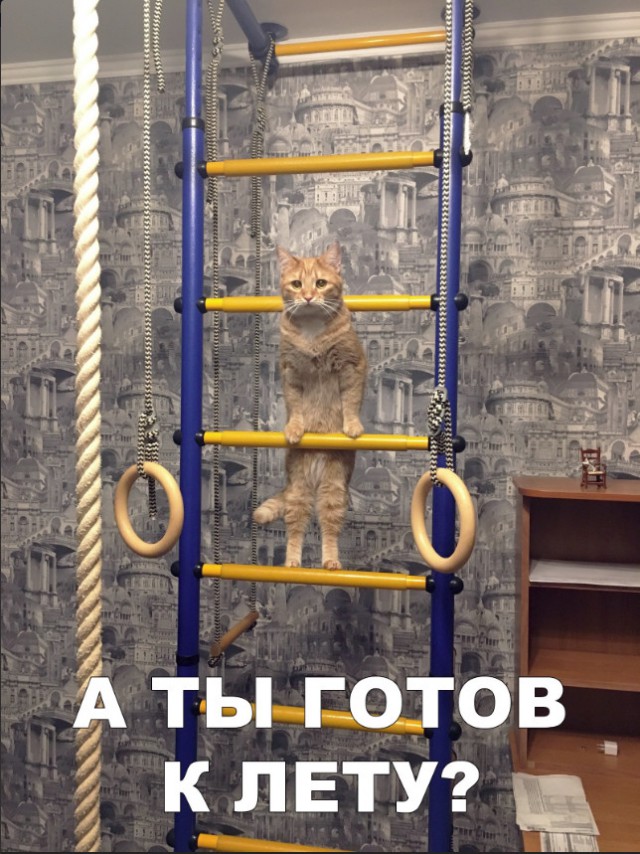 Нестандартный юмор