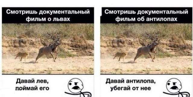 Давным-давно такое называлось ДЕМОТИВАТОРЫ