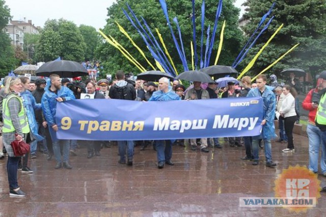 Небратья глумятся