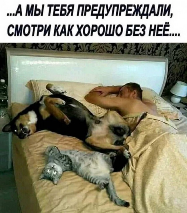 Делаем уроки, бутерброды, охотничью собаку и присоединяем Австрию к России